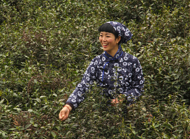94间房主跳舞 侦探帽